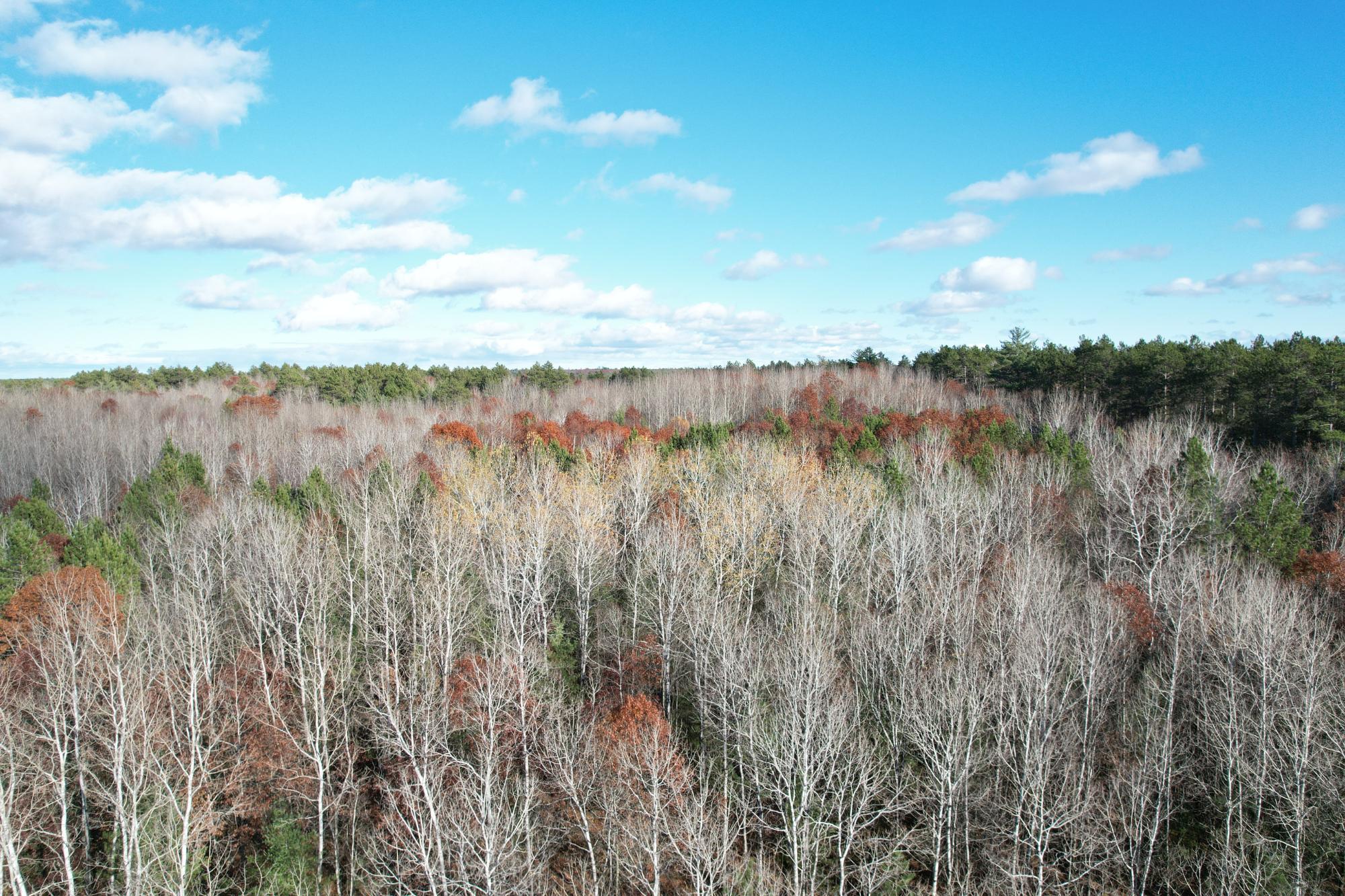 12.51-ac North Star Lake Road Eagle River, WI 54521 - Photo 1 of 7 Gallery Image 1
