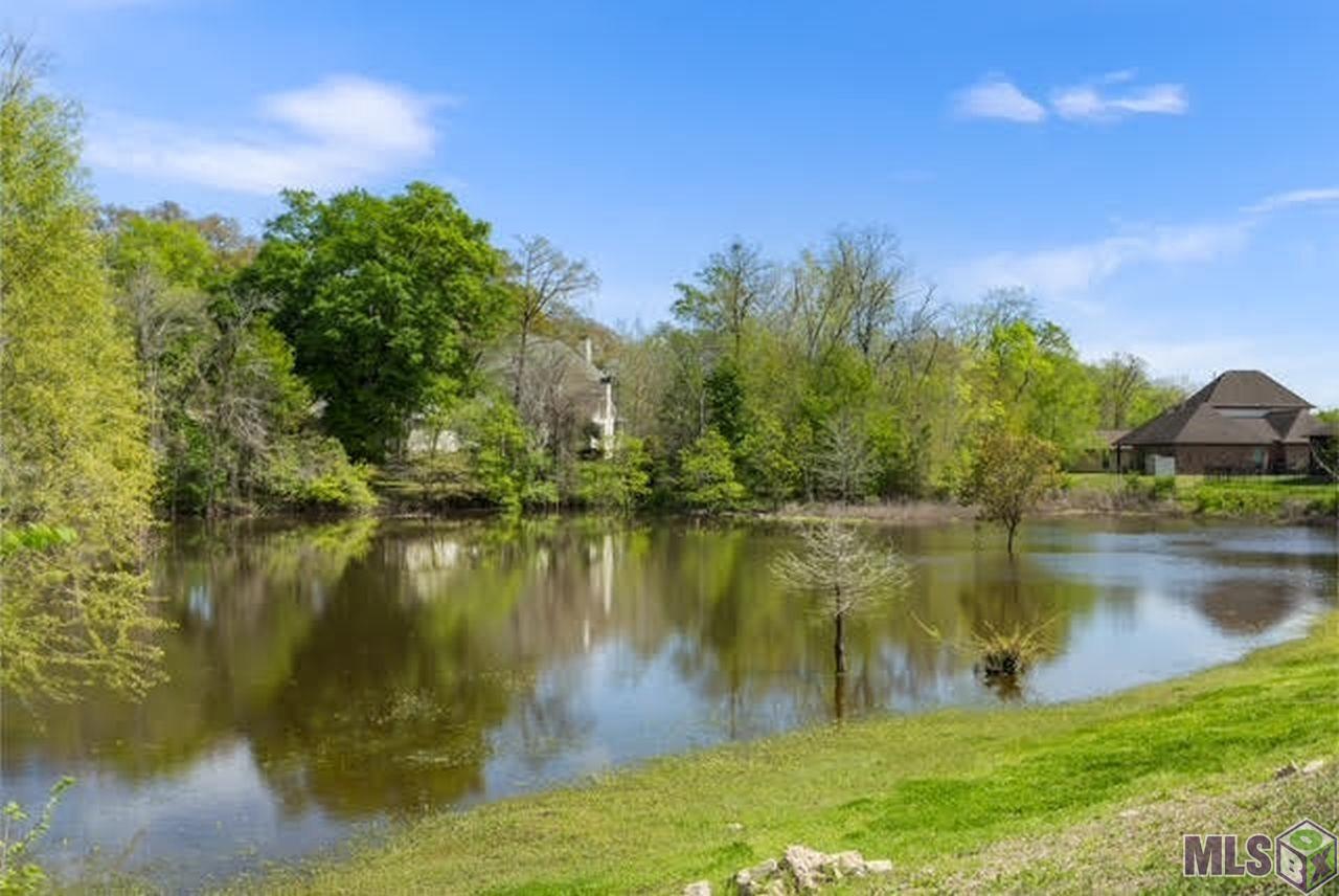 7907 Valencia Court Baton Rouge, LA 70820 - Photo 18 of 19