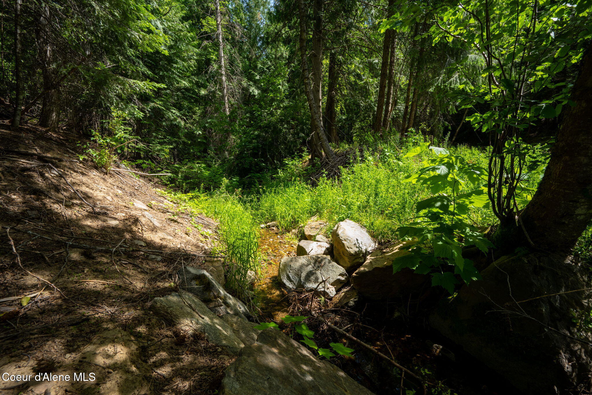 2089 Tower Mountain Road Blanchard, ID 83804 - Photo 29 of 35 36-web-or-mls-DSC_5670