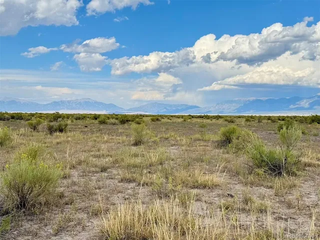 a view of a lake in middle of forest