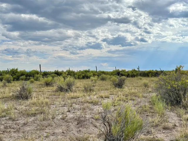 a view of a dry yard