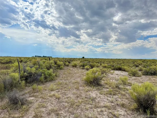 a view of beach and ocean