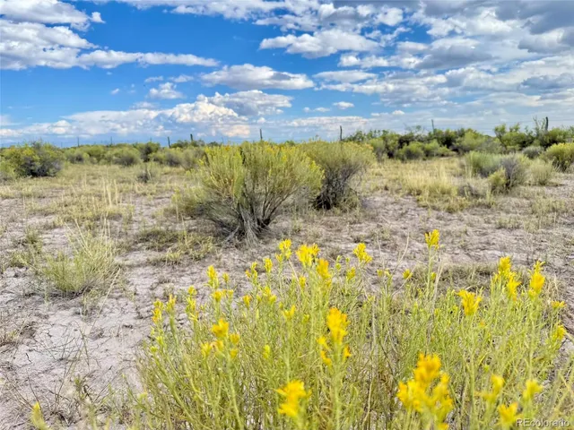 a view of a yard with an ocean