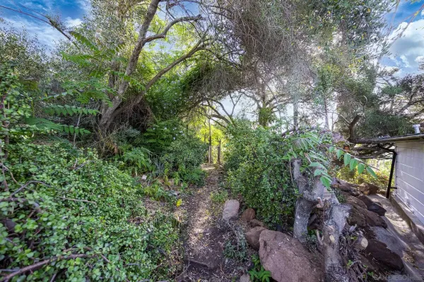 a backyard of a house with lots of green space