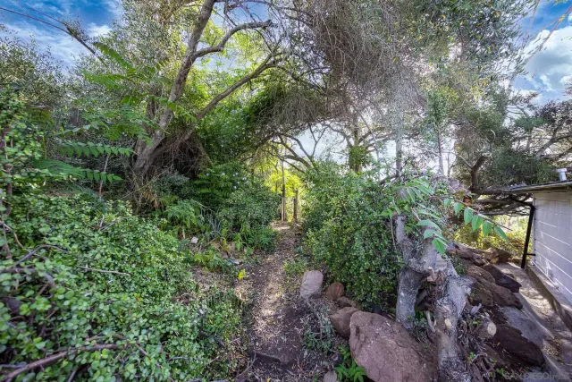 a backyard of a house with lots of green space