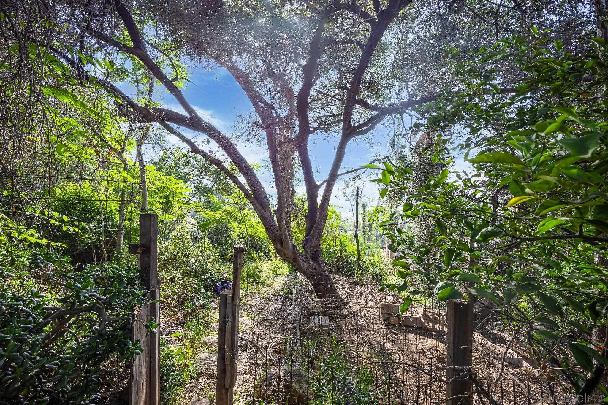678 Robby Way Fallbrook, CA 92028 - Photo 29 of 36