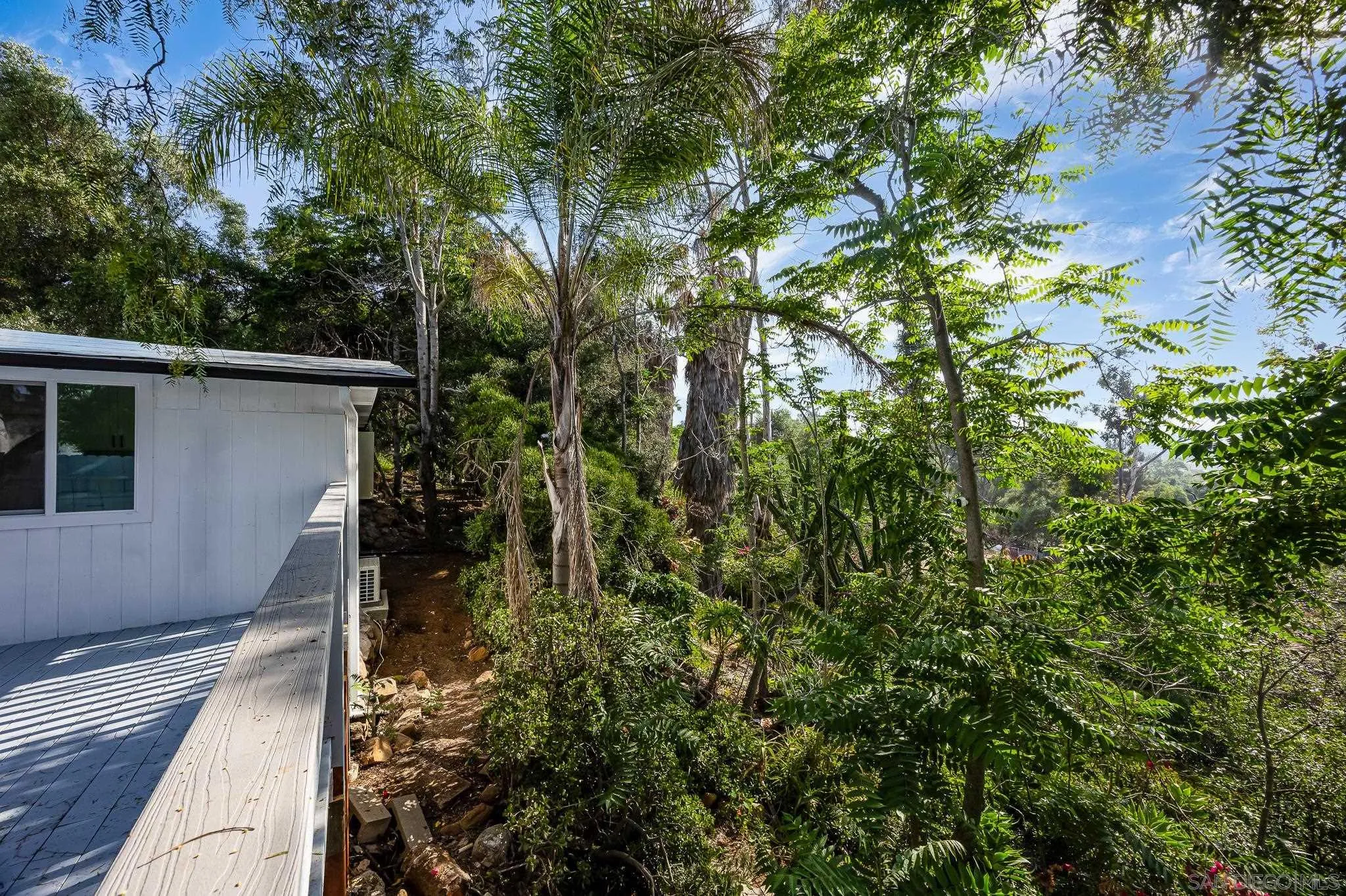 678 Robby Way Fallbrook, CA 92028 - Photo 30 of 36 a backyard of a house with lots of green space