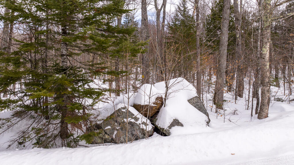 2018 Hillside Road Carrabassett Valley, ME 04947 - Photo 12 of 25 HillsideDr-17