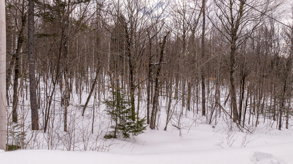 2018 Hillside Road Carrabassett Valley, ME 04947 - Photo 10 of 25 HillsideDr-14