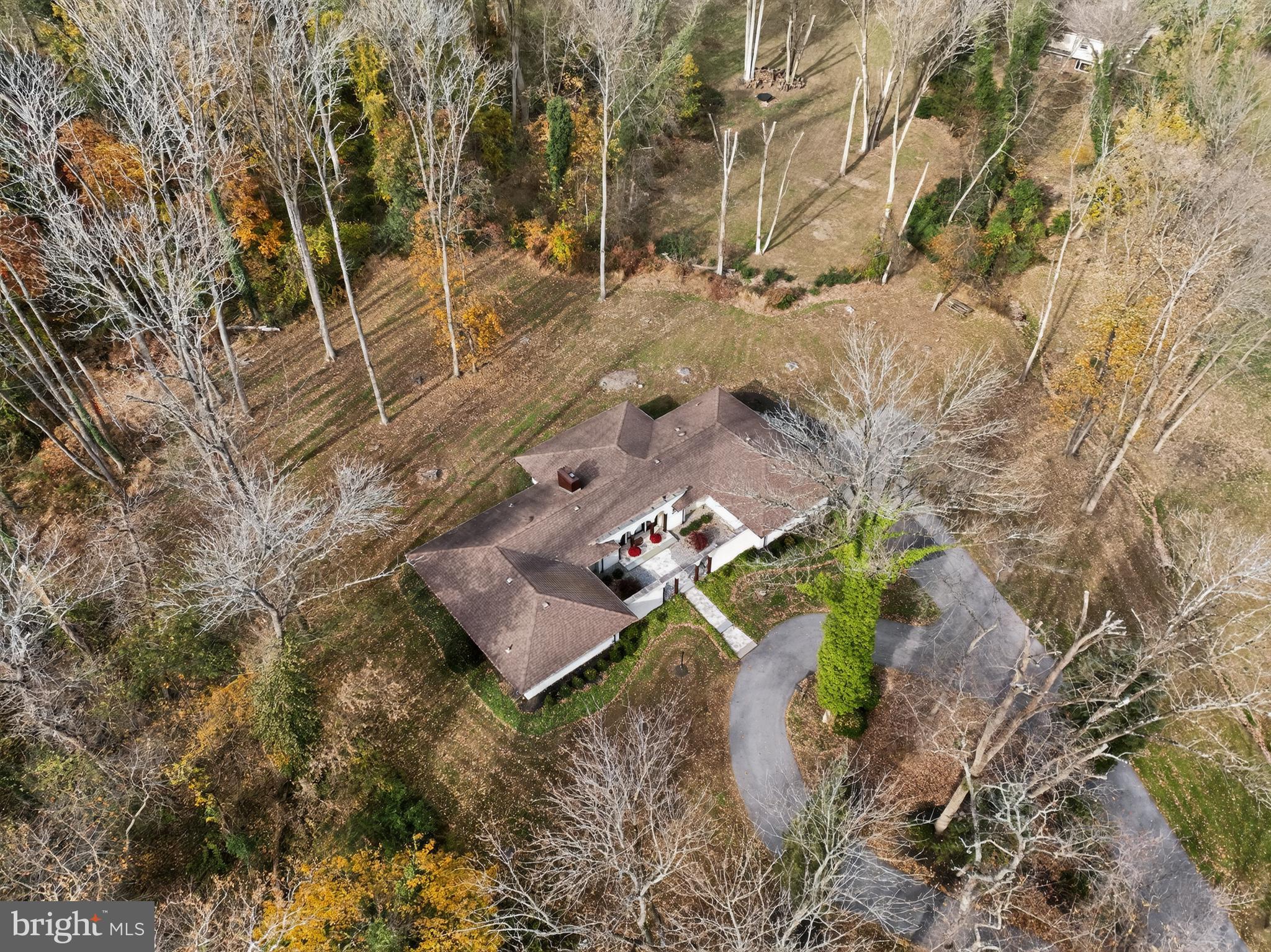 1013 Glen Road Wallingford, PA 19086 - Photo 5 of 45 a view of a yard with plants and large trees