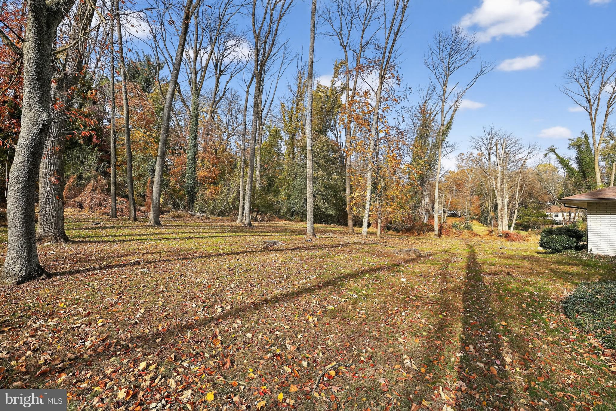 1013 Glen Road Wallingford, PA 19086 - Photo 9 of 45 a view of road with large trees