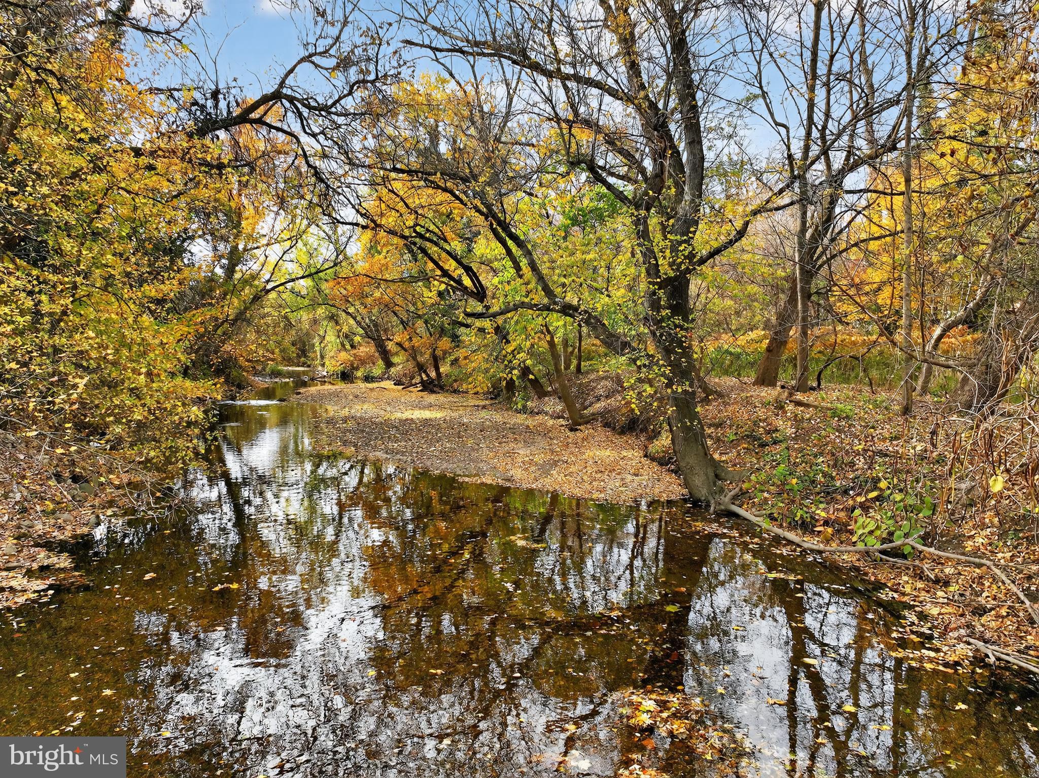 1013 Glen Road Wallingford, PA 19086 - Photo 10 of 45 a view of outdoor space yard and patio