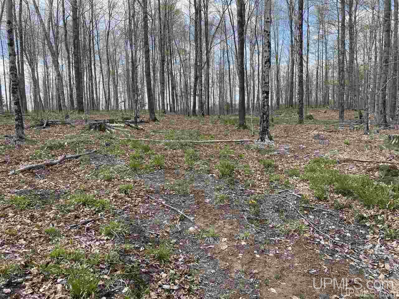 Tbd Tbd Truax Road, Unit 1 Cornell, MI 49818 - Photo 40 of 43