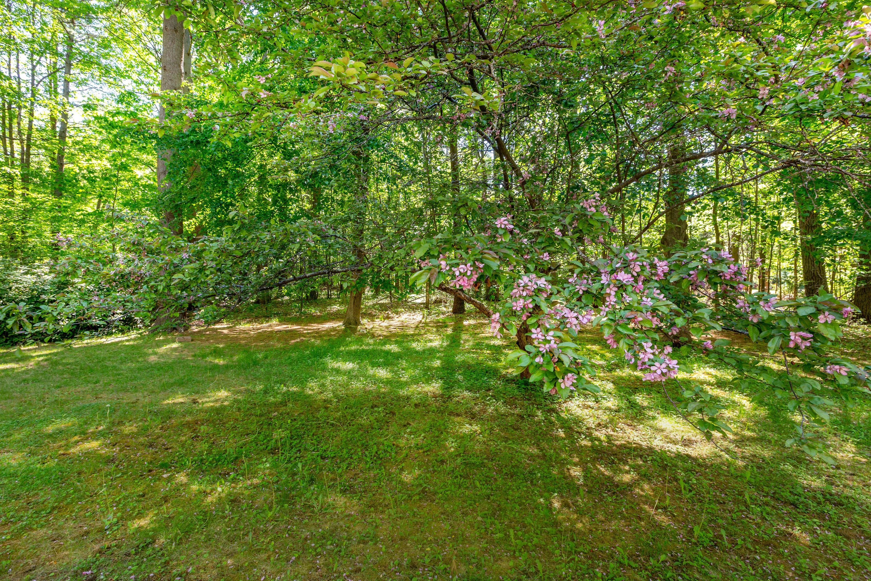 9 Hemlock Road Brunswick, ME 04011 - Photo 43 of 48 Yard