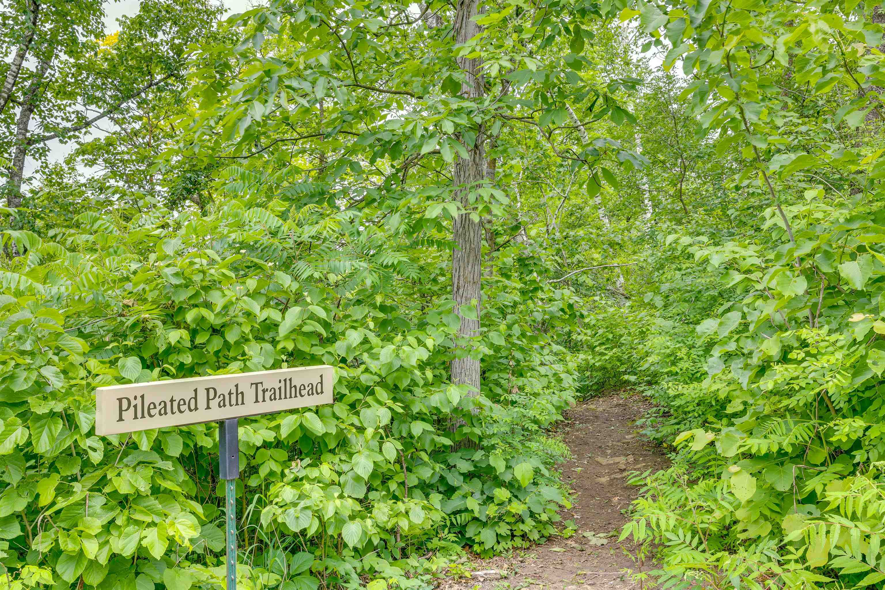 N7703 & N7705 Wanlass Mindoro, WI 54644 - Photo 28 of 55