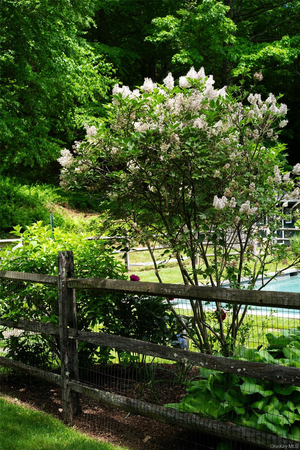 85 Frost Road Rhinebeck, NY 12572 - Photo 26 of 31