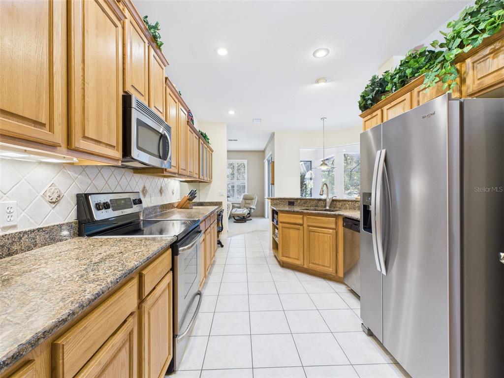 19439 Southwest 101st Place Road Dunnellon, FL 34432 - Photo 6 of 48 Gallery Image 6