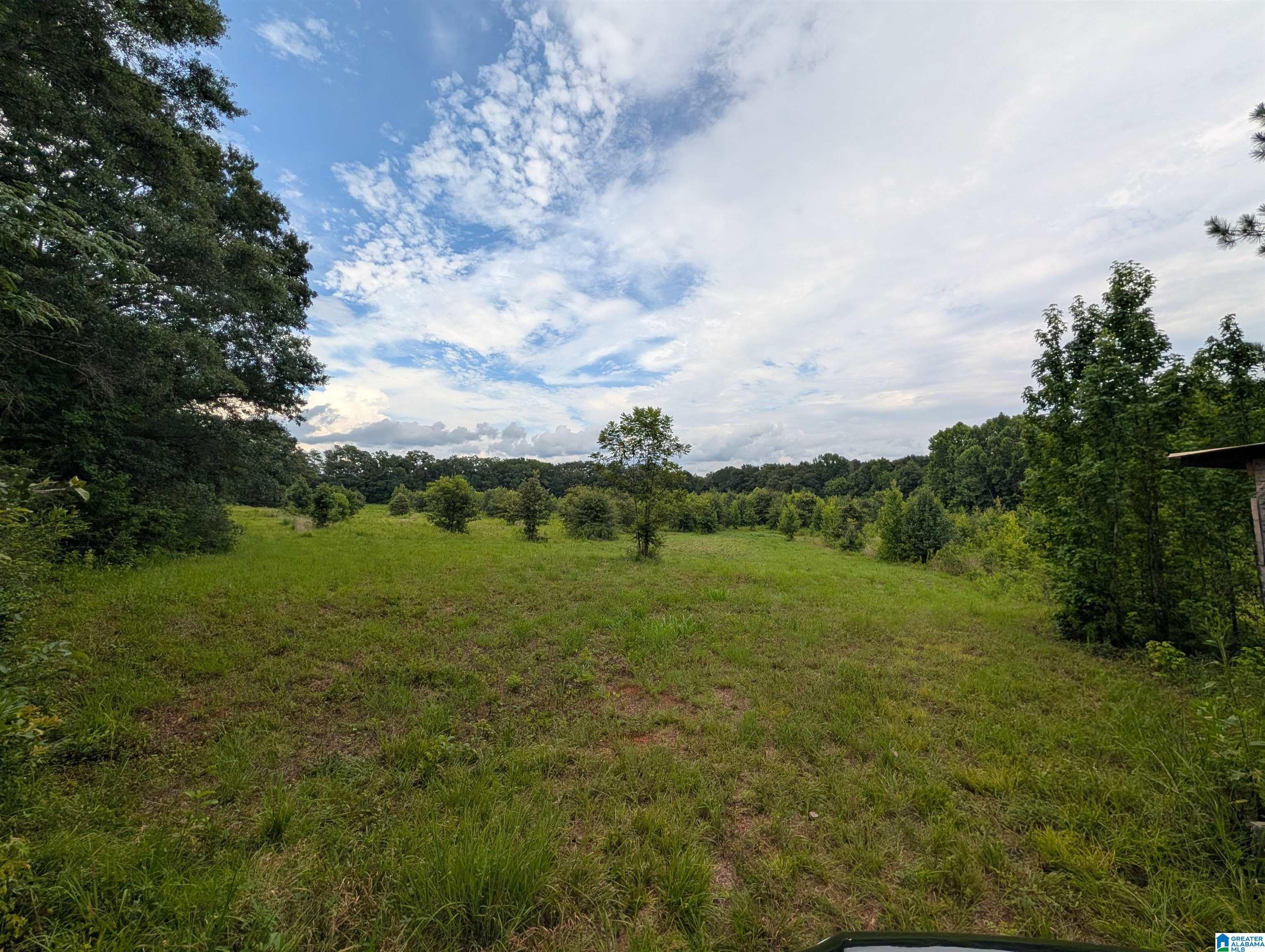 0 Barclay Road Alpine, AL 35014 - Photo 23 of 26 Gallery Image 23