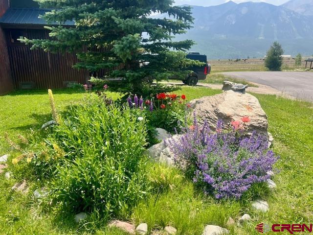 70 Bridle Spur Way Crested Butte, CO 81224 - Photo 37 of 42 a view of a backyard with plants