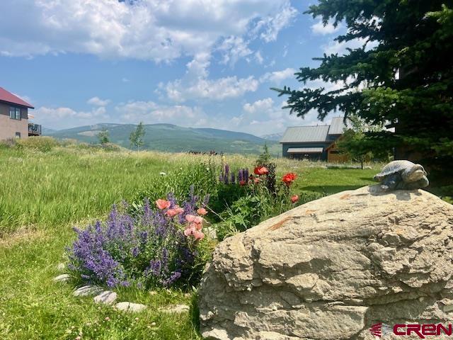 70 Bridle Spur Way Crested Butte, CO 81224 - Photo 40 of 42 a view of a garden with a flower garden