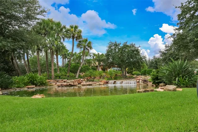 a view of a swimming pool with a garden and trees