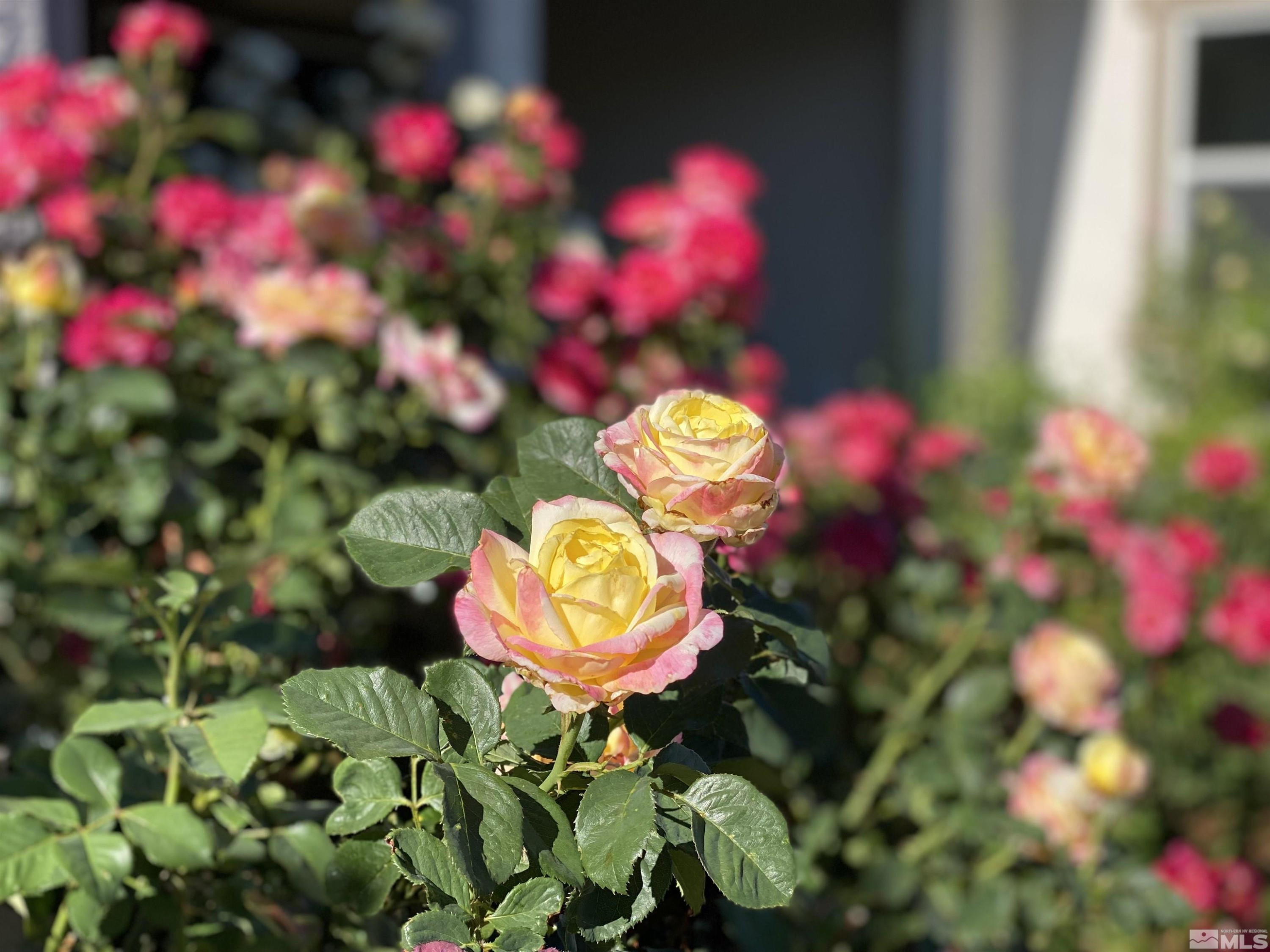 2255 Maximus Lane Reno, NV 89521 - Photo 34 of 40 Photo 34