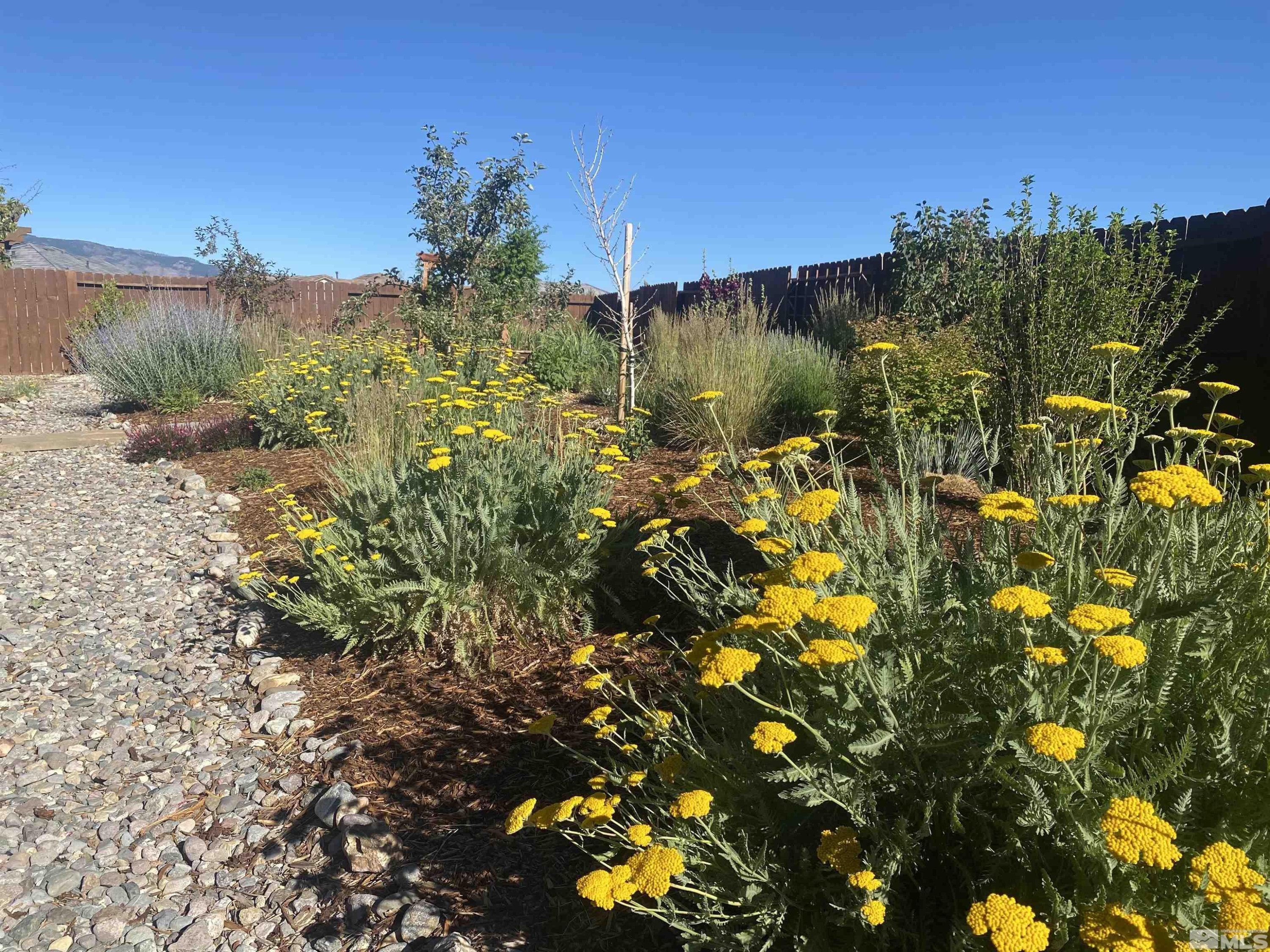 2255 Maximus Lane Reno, NV 89521 - Photo 37 of 40 Photo 37