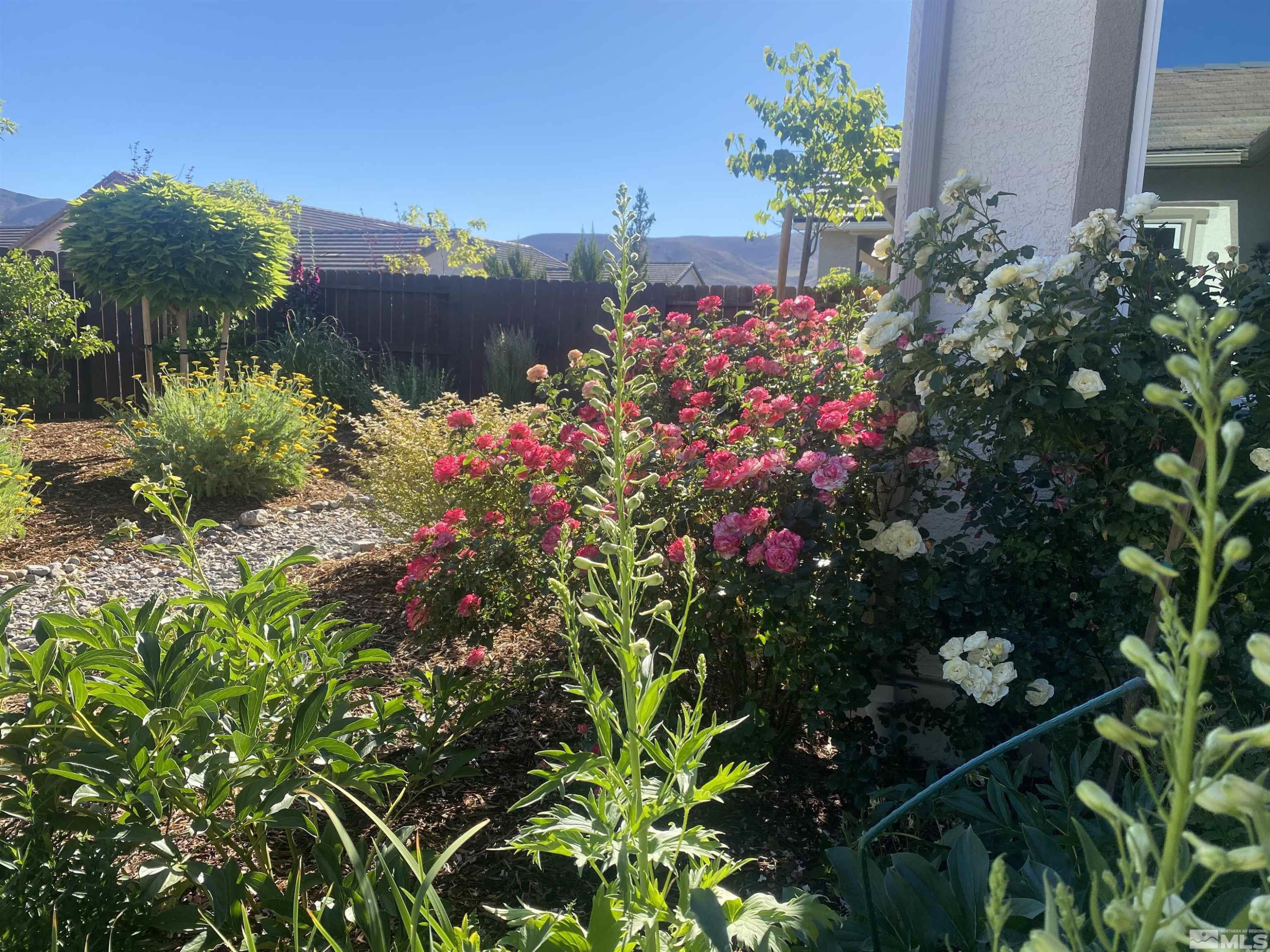 2255 Maximus Lane Reno, NV 89521 - Photo 40 of 40 Photo 40