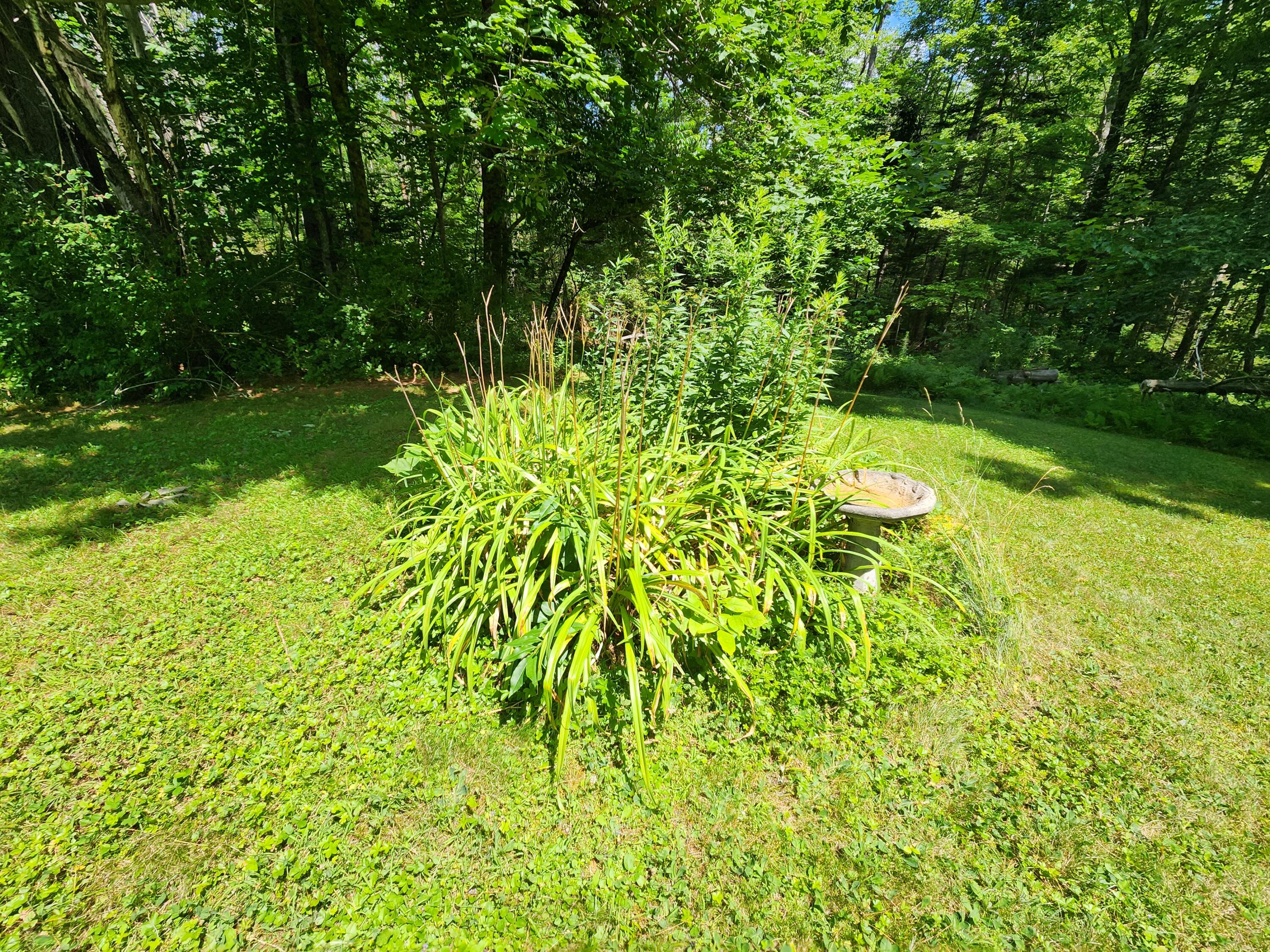 513 Buzzell Hill Road Hope, ME 04847 - Photo 40 of 48 20250723_121858