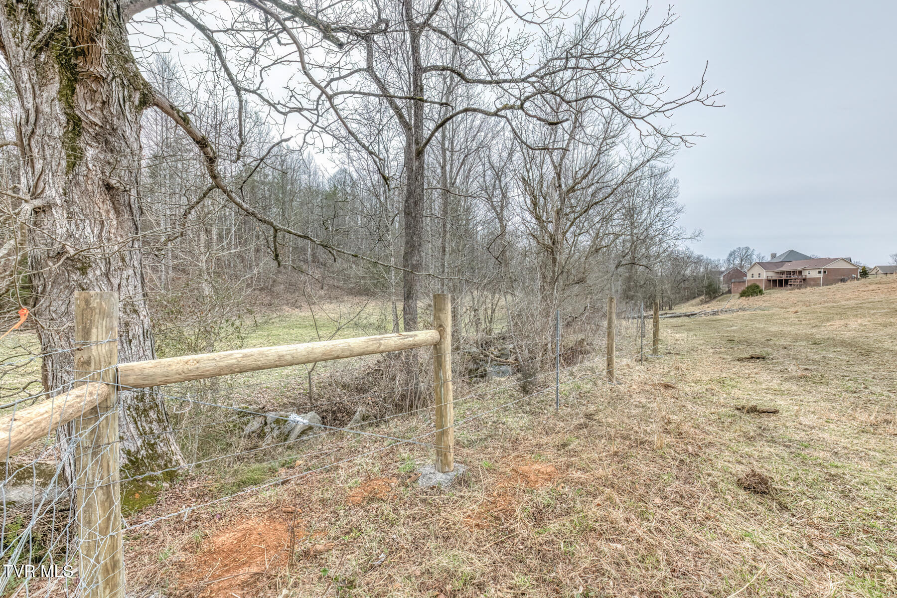 707 Egypt Road Bluff City, TN 37618 - Photo 12 of 16 egypt rd land 9