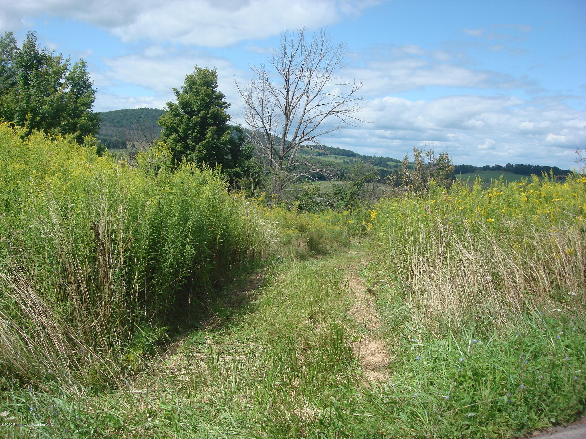 1240 Sheehan Road Mehoopany, PA 18629 - Photo 20 of 26 DSC00937