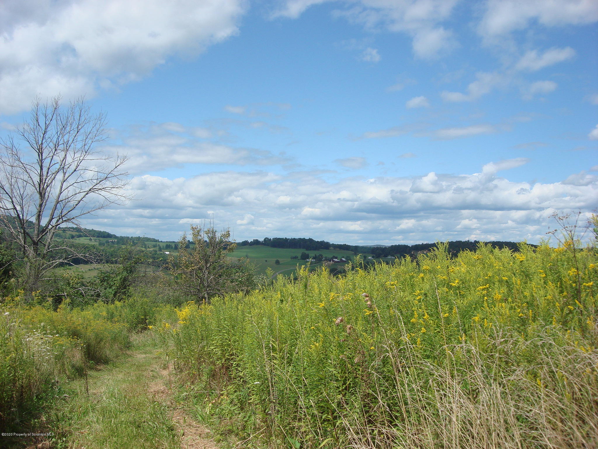 1240 Sheehan Road Mehoopany, PA 18629 - Photo 22 of 26 DSC00939