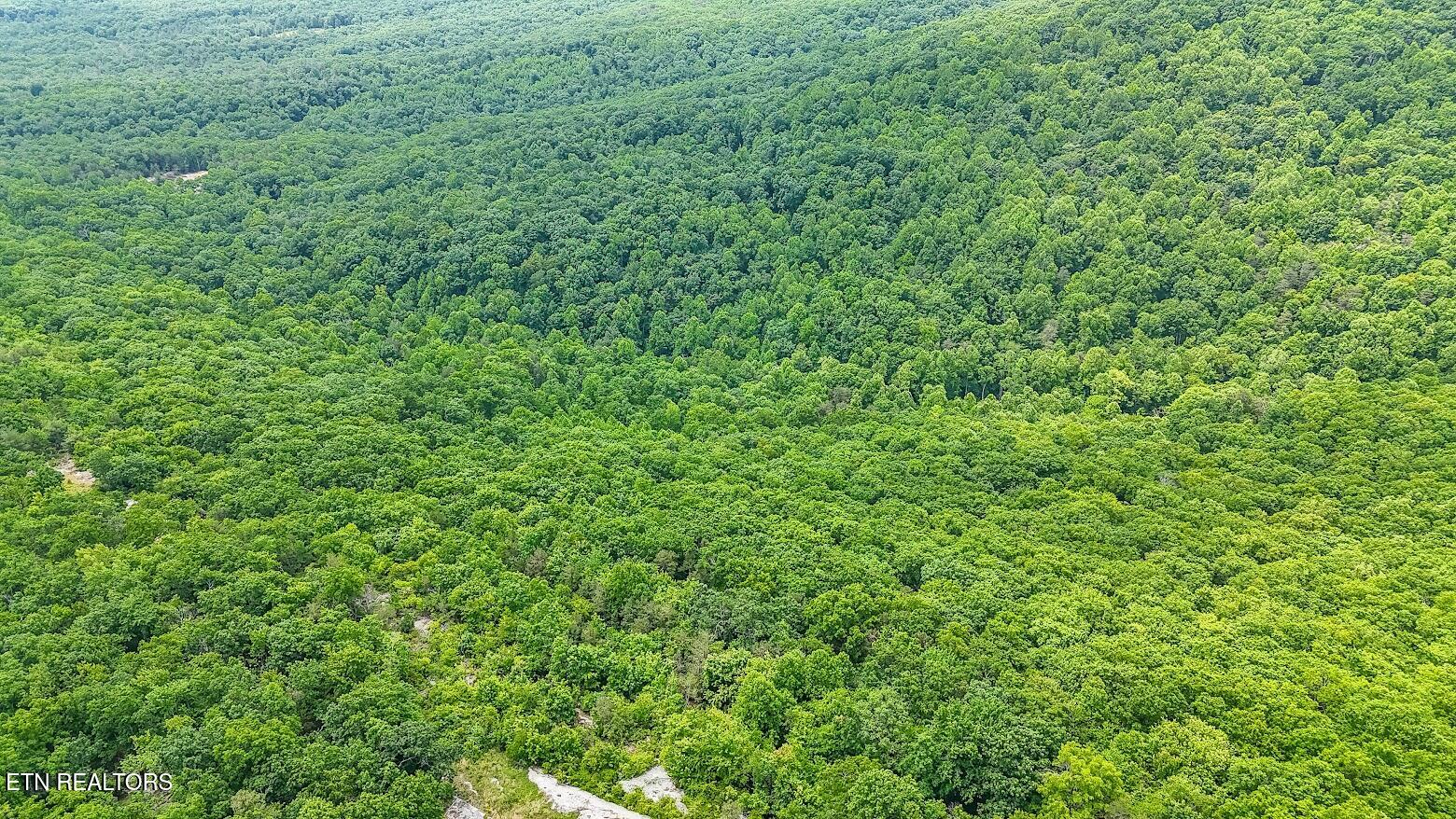 1407 Holloway Ridge Road Spring City, TN 37381 - Photo 17 of 60 140719