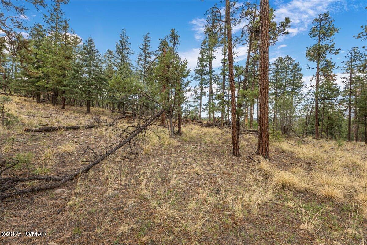 14 County Road Alpine, AZ 85920 - Photo 2 of 9 47-IMG_1365