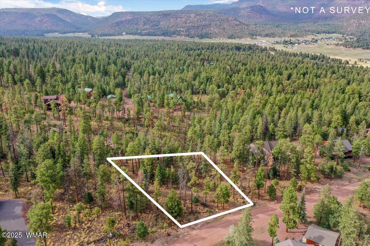 14 County Road Alpine, AZ 85920 - Photo 5 of 9 50-DJI_0406.1