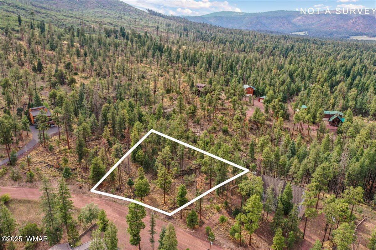 14 County Road Alpine, AZ 85920 - Photo 6 of 9 51-DJI_0411.1
