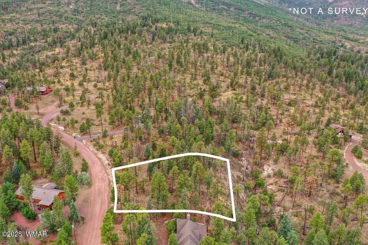 14 County Road Alpine, AZ 85920 - Photo 9 of 9 54-DJI_0466.1