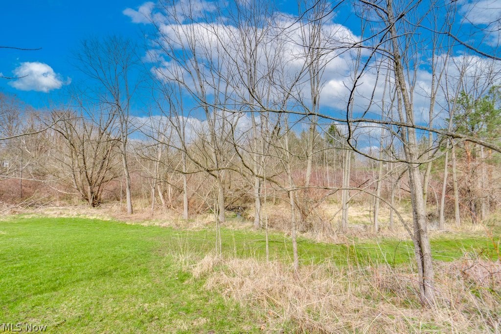 1846 Lester Road Valley City, OH 44280 - Photo 8 of 9 Yard view