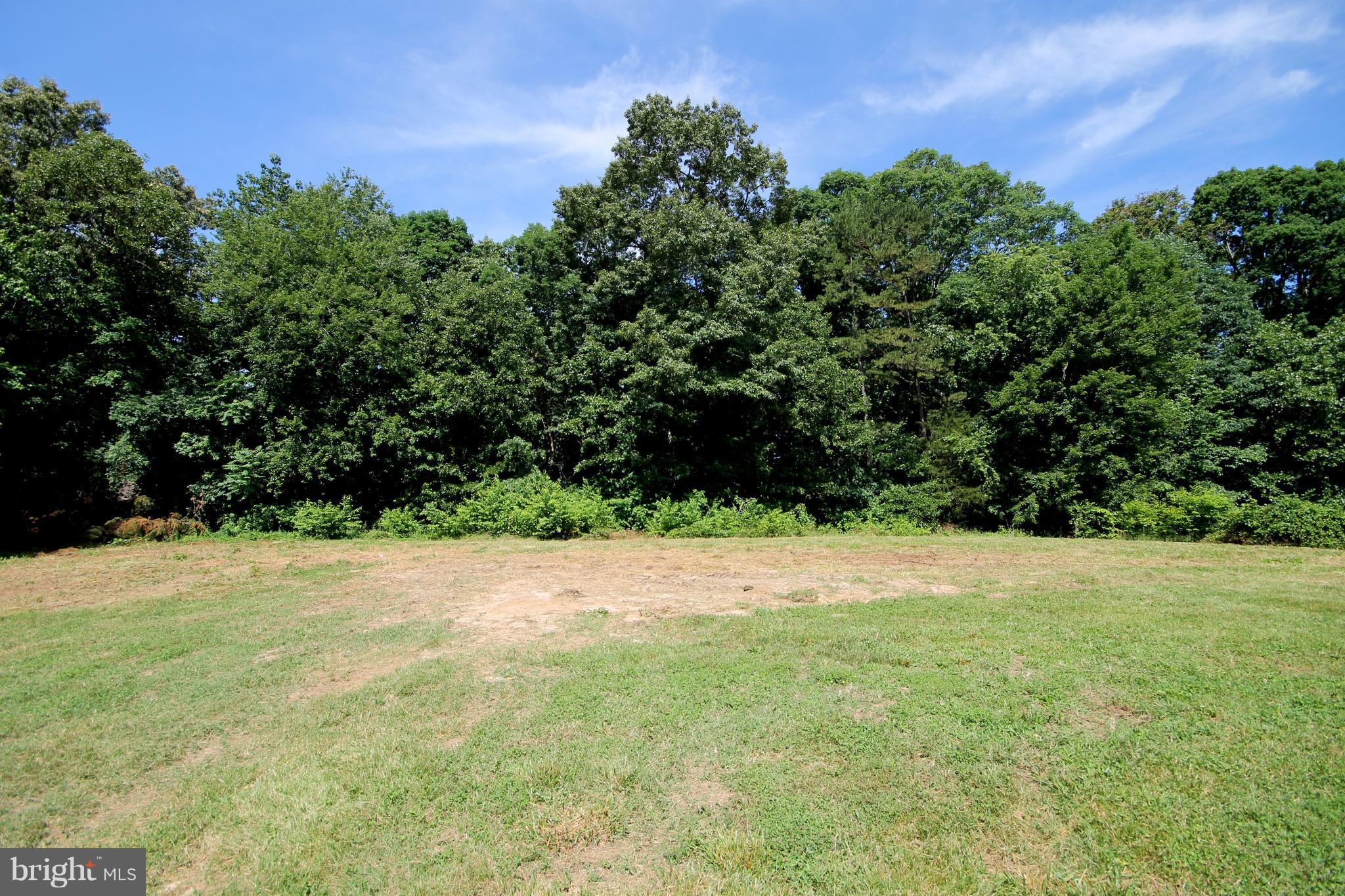 77 Halls Store Road Mineral, VA 23117 - Photo 21 of 23 Exterior (Rear)