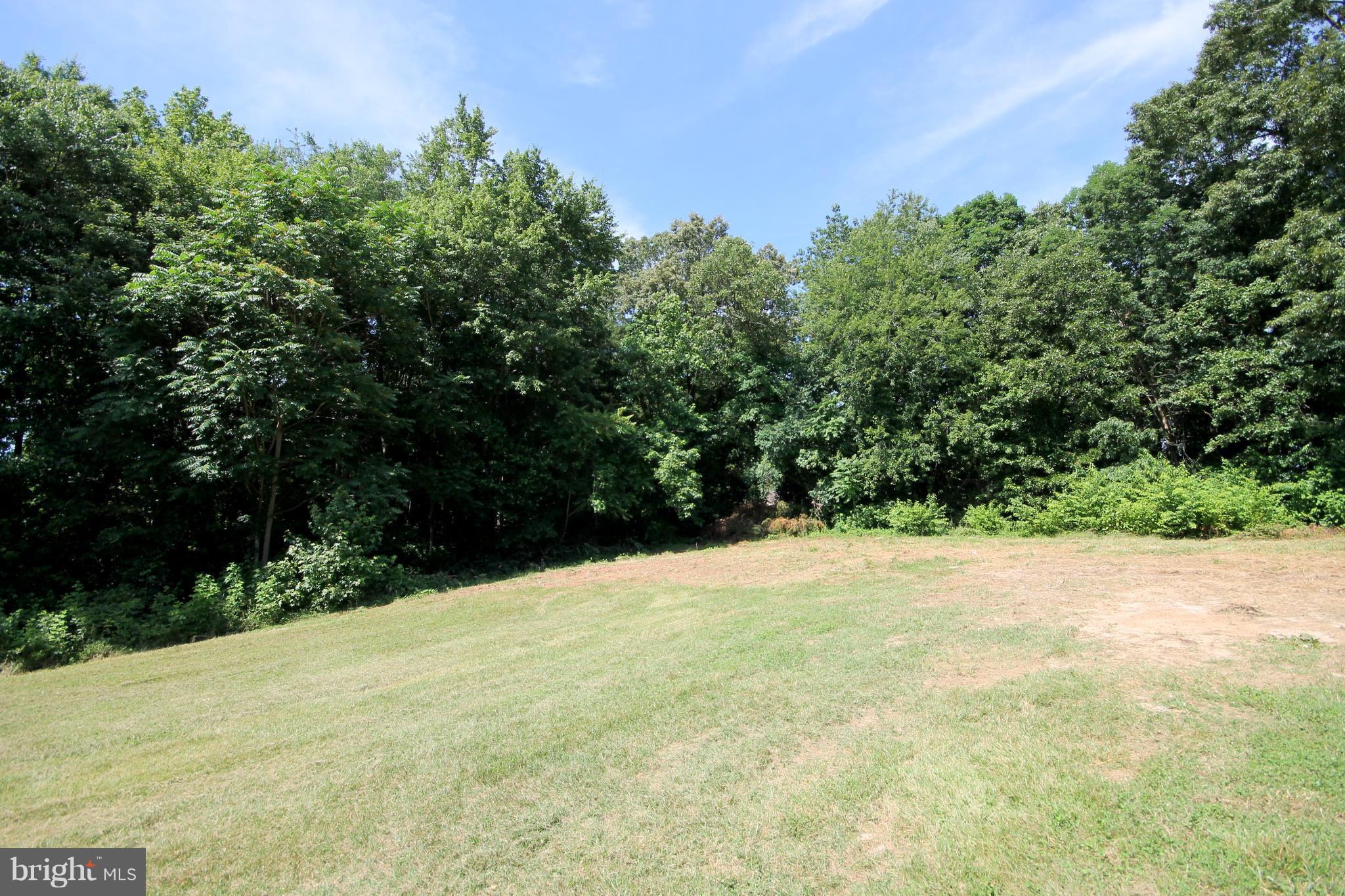 77 Halls Store Road Mineral, VA 23117 - Photo 22 of 23 Exterior (Rear)