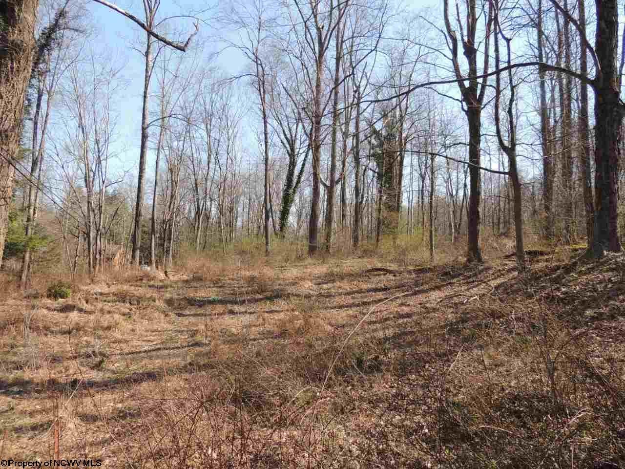 0 Colfax Road Fairmont, WV 26554 - Photo 10 of 20 Gallery Image 10