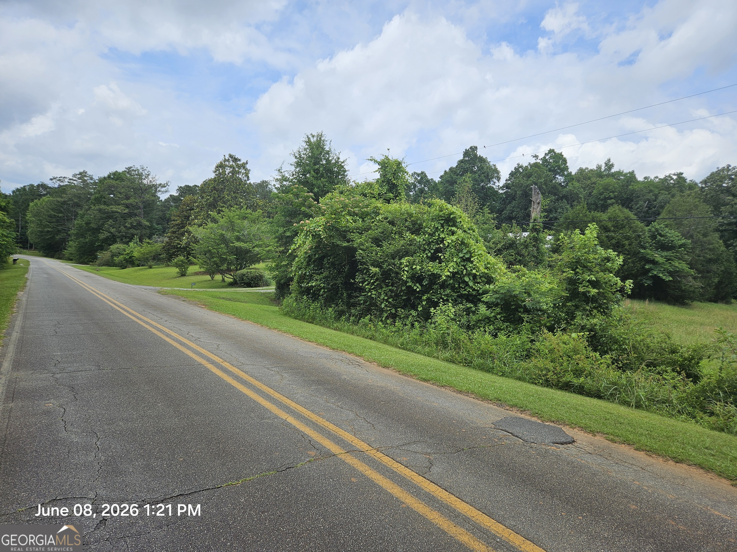 0 Davis Road Dry Branch, GA 31217 - Photo 3 of 5