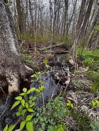 $385,000 | 71 Murphy Drive, Grand Marais, MN 55604