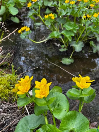 $385,000 | 71 Murphy Drive, Grand Marais, MN 55604