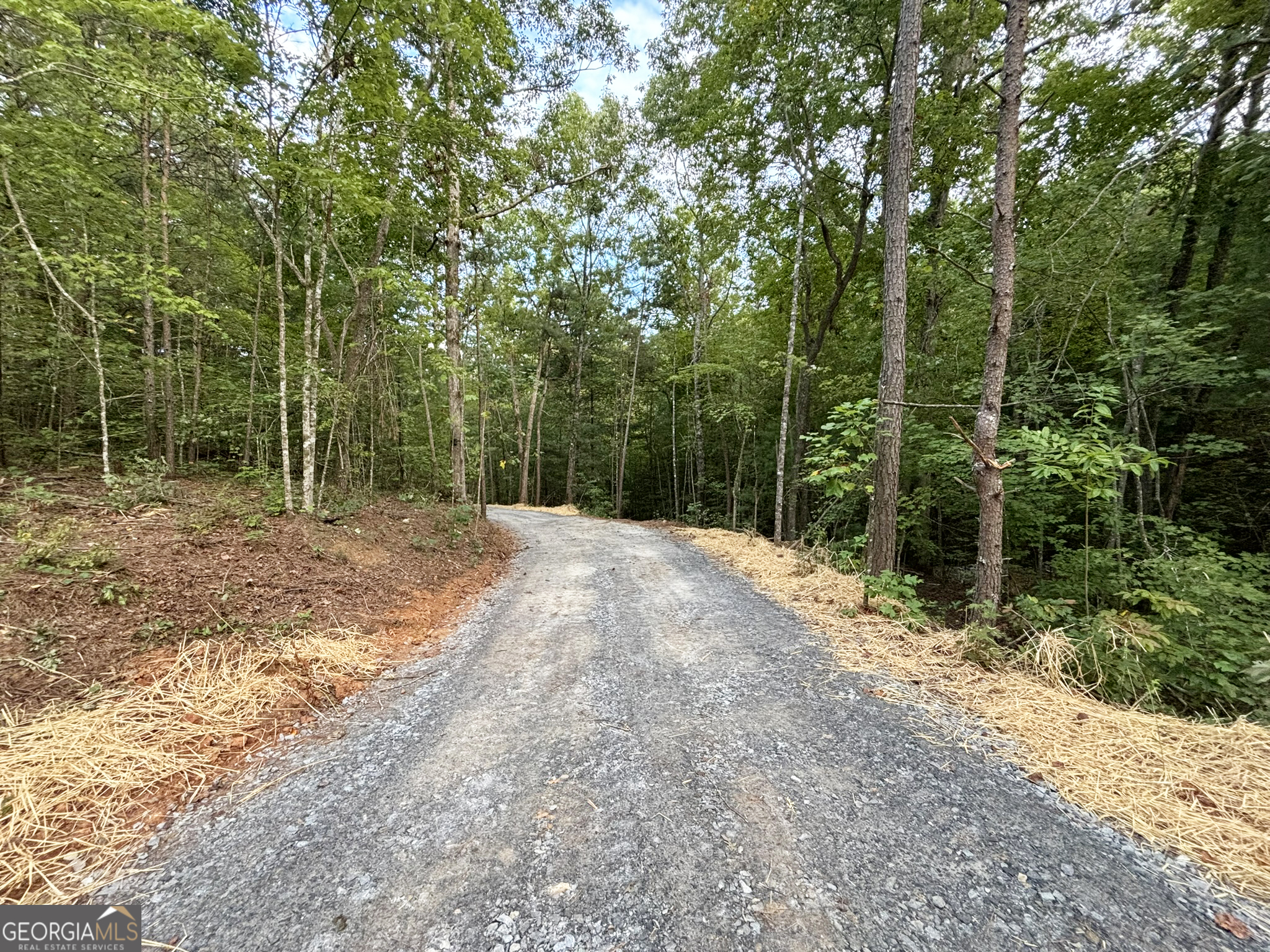 396 Mt Springer Road Ellijay, GA 30540 - Photo 25 of 50