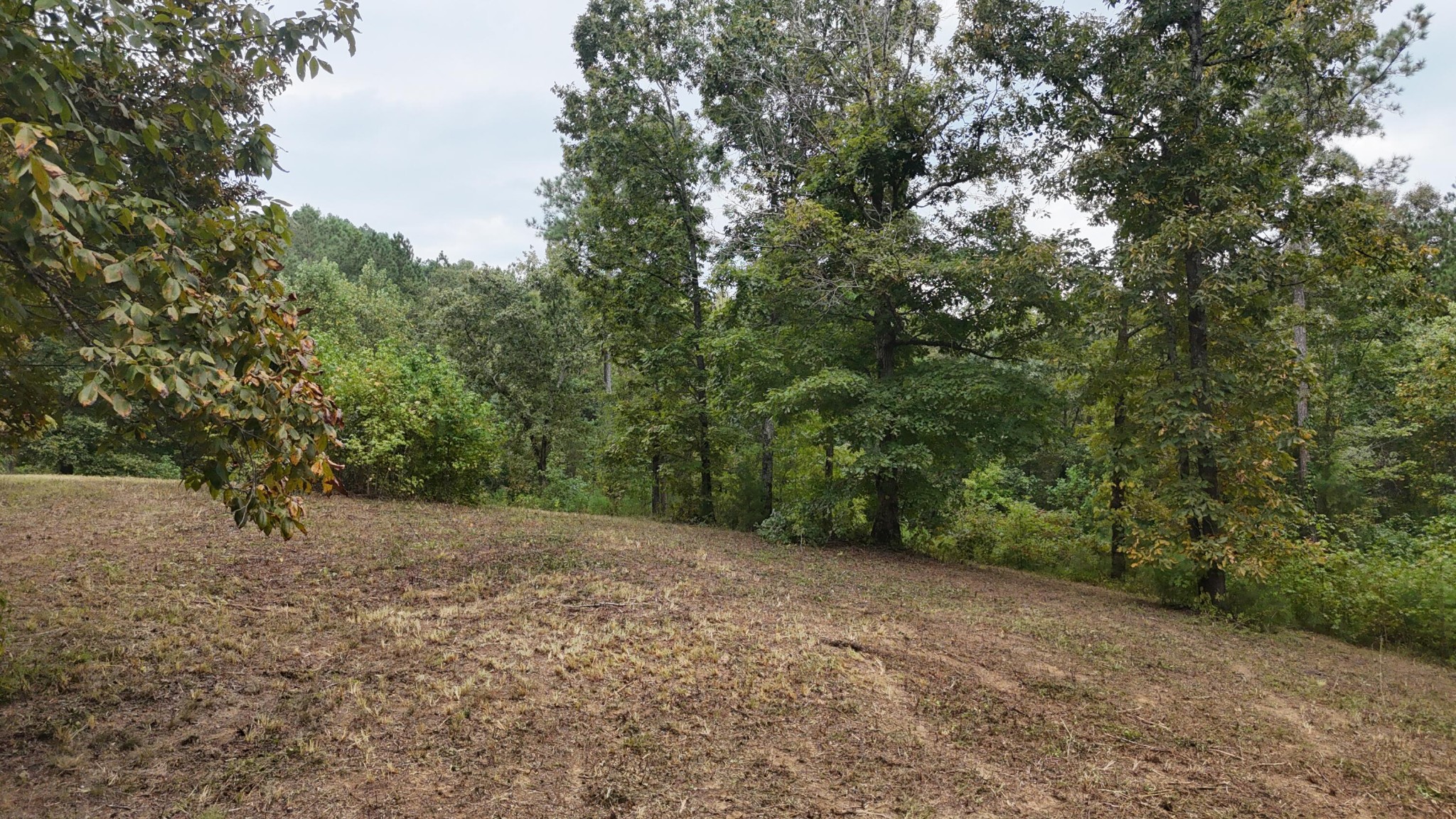 2324 County Road 758 Riceville, TN 37370 - Photo 22 of 43 Gallery Image 22