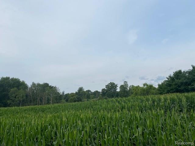 0 Bull Run Road Gregory, MI 48137 - Photo 7 of 9