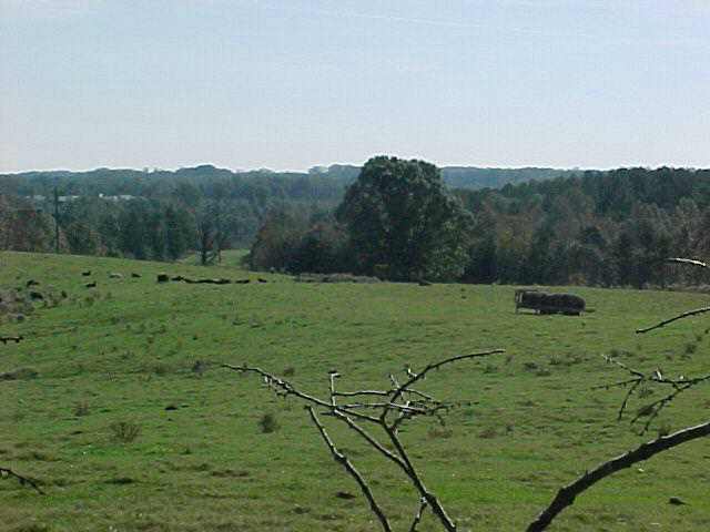 125 Richardson Farm Road Seneca, SC 29678 - Photo 4 of 8 Gallery Image 4