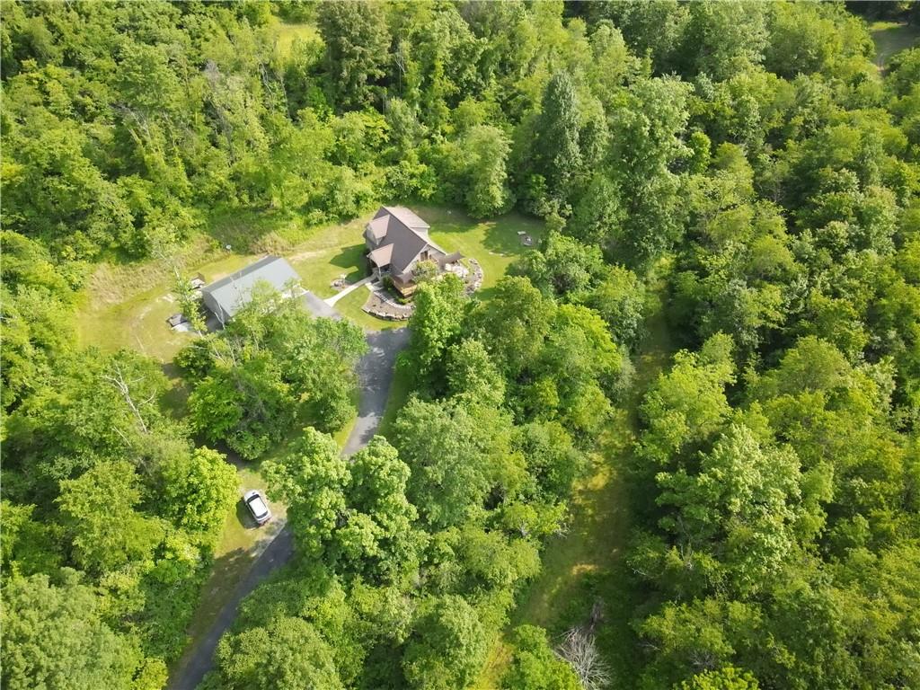 277 Dunn Road Greensburg, PA 15601 - Photo 3 of 24 a view of a forest with a tree