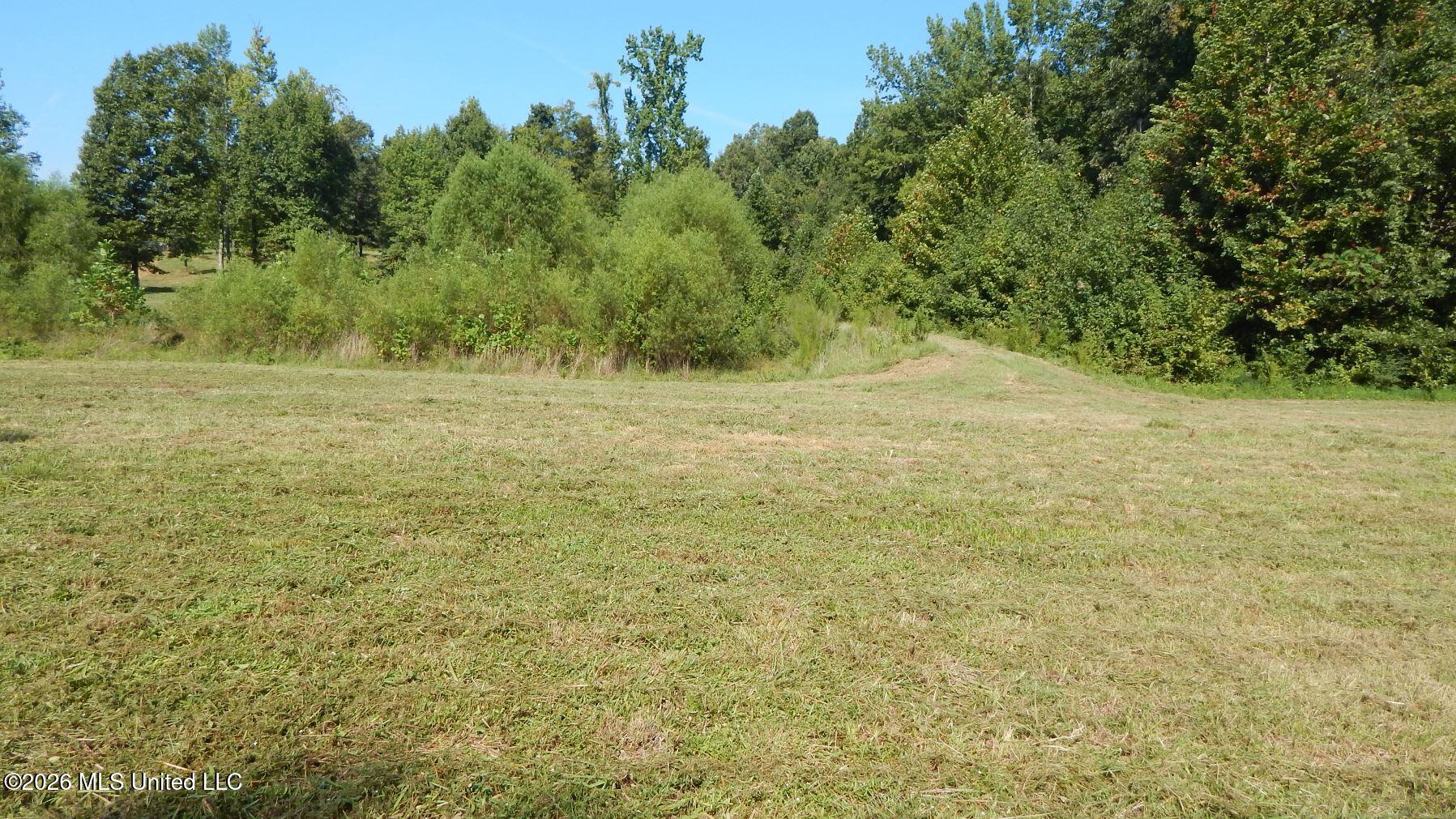 400 Arkabutla Dam Road Coldwater, MS 38618 - Photo 7 of 15 DSCN7562